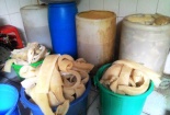 Cẩn trọng với món 'nem đặc sản' từ bì lợn thối 