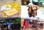  Giật mình với 50% mẫu thử nghiệm dầu nhờn không đạt tiêu chuẩn