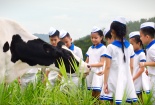 Rạng rỡ Vươn cao Việt Nam