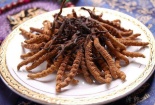 Đông trùng hạ thảo 1,6 tỷ đồng/kg: Đại gia uống thay trà hàng ngày