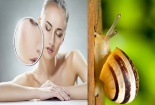 Rước cả ổ ấu trùng giun lên mặt vì làm đẹp bằng ốc sên 