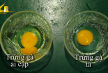 Lộn xộn trứng gà Ai Cập gắn mác trứng gà ta