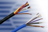 Dây điện mỏng hơn 60 ngàn lần sợi tóc nhờ vi khuẩn biến đổi gen