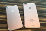 iPhone 7 và iPhone 7 Plus sẽ được ra mắt qua livestreaming