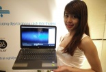 Bộ sưu tập laptop Pavilion 2016 của HP