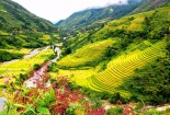 Ngất ngây với những địa điểm du lịch mùa thu đẹp mê hồn ở miền Bắc