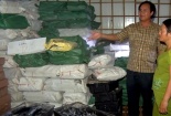 Tiêu hủy 70 tấn cá tại các kho đông lạnh ở Quảng Trị