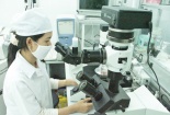 Sửa đổi luật để kết nối doanh nghiệp với Khoa học và Công nghệ