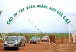 Bầu Đức bán cao su cho đối tác Trung Quốc có khả thi?