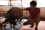 Nuôi đặc sản, nông dân Ninh Bình kiếm tiền tỷ mỗi năm 