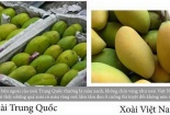 Cách đơn giản phân biệt xoài Việt Nam và Trung Quốc