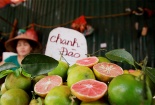 Nói chanh đào giá rẻ do 'ngậm thuốc' là có tội với người nông dân