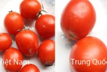 Phân biệt cà chua Việt Nam và Trung Quốc