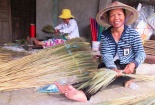 Nghề quấn chổi 'quét' đói nghèo kiếm tiền tỷ cho thôn Chiêm Sơn