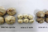 Phân biệt tỏi Việt Nam và tỏi Trung Quốc