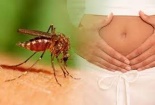 Cách nhận biết cơ thể đang mắc virus Zika