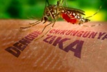 Người dân mơ hồ về xét nghiệm miễn phí virus Zika