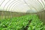 Đồng Nai: Tập trung nhân rộng mô hình ứng dụng công nghệ cao