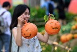 Vườn bí ngô ở Sài Gòn- điểm chụp ảnh hot nhất Halloween năm nay 
