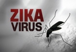 TP.HCM đã có 17 trường hợp mắc virus Zika, tìm biện pháp bảo vệ thai phụ 