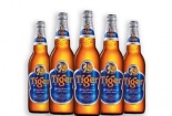 Bắt quả tang cơ sở sản xuất bia Tiger giả