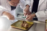 Sửng sốt phát hiện vật lạ trong bụng vật nuôi được định giá chục tỷ đồng