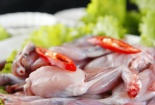Bố mẹ cho con ăn thịt cóc: Cẩn thận kẻo 'chết oan'!