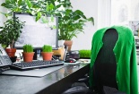 Để tài lộc, may mắn, nên đặt những vật này trên bàn làm việc