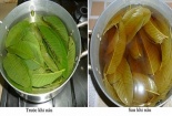 'Thần dược' trị tiểu đường từ thiên nhiên ít người biết