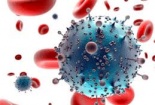 Tin cảnh báo ngày 19/11: Cần cảnh giác với chủng virus nguy hiểm mới 