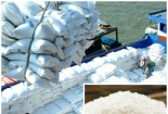 Cần hướng đi mới cho phát triển thương hiệu gạo quốc gia