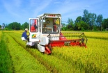 Nâng cao năng suất lúa nhờ áp dụng đồng bộ cơ giới hóa