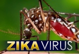 TP.HCM: 19/24 quận huyện có người nhiễm virus Zika