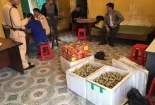 Nghệ An: Bắt xe chở pháo lậu trên đường đi tiêu thụ