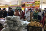 Dân Hà Nội được 'tận thấy' nông sản an toàn hợp chuẩn