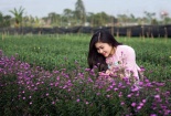 Làng hoa Tết 'mới toanh' ở Hải Phòng tấp nập du khách 