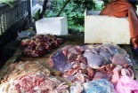Bắt giữ hơn 1 tạ nội tạng động vật thối chuẩn bị ra chợ Tết