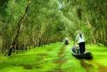 Những điểm du lịch đẹp ngất ngây tại miền Tây cho dịp Tết 