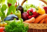 An toàn thực phẩm: Những sự kiện nổi bật năm 2016