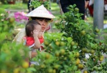 ‘Hoa cười’ nông dân khóc: Chỉ công nghệ mới thay được ông trời!