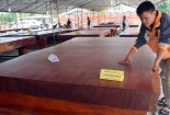 Phản gỗ nguyên tấm tiền tỷ gây sốt tại chợ hoa Đà Nẵng