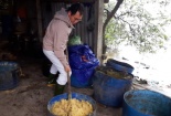 Từ bỏ lương ngàn đô tại Đức về Việt Nam nuôi gà, tôm làm giàu 10 tỷ/năm