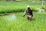 Sự thật kinh hoàng về thuốc diệt cỏ paraquat Bộ NN&PTNT vừa cấm