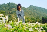 Ngắm vườn hoa tam giác mạch bung nở giữa tháng Giêng ở Ninh Bình
