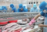 Tập đoàn Carrefour ngừng mua cá tra Việt Nam, nguyên nhân do đâu?