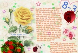 Thơ hay ngày 8/3 dành tặng phái đẹp