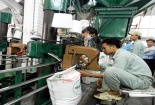 Quyền và nghĩa vụ của người sản xuất với chất lượng sản phẩm hàng hóa