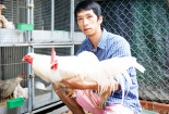 Kỹ sư thủy sản từ bỏ lương 10 triệu về làm giàu từ nuôi gà cảnh
