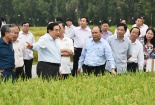 Thủ tướng đánh giá cao mô hình 3 cùng của Tập đoàn Lộc Trời