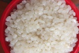 Chị em Hà thành sốt với hạt đác rừng